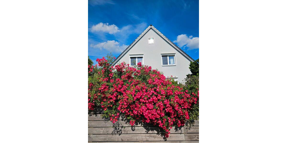 Einfamilienhaus Wedemark - 5 Zimmer, 139 m&sup2;, 650.000&euro; | Angebot:26966106