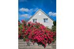 Einfamilienhaus Wedemark - 5 Zimmer, 139 m&sup2;, 650.000&euro; | Angebot:26966106