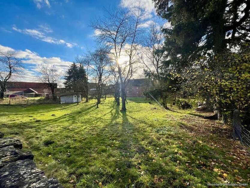 Grundstück zu verkaufen in Coppenbrügge Harderode 90.000 € 2039 m²