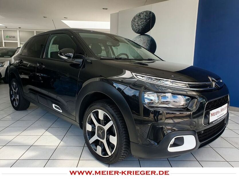 C4 Cactus