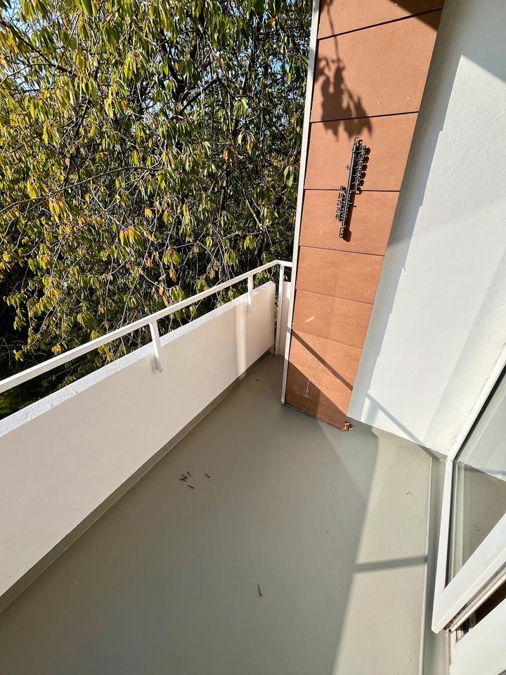 *TOP sanierte Singlewohnung* zimmer