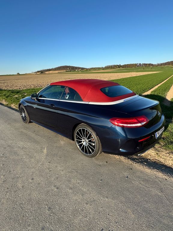 C 250