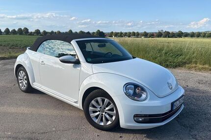 VW Beetle 41.000 km 15.900 &euro; Giesen 31180