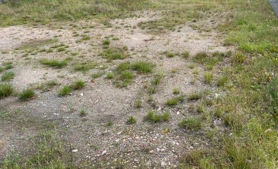 Garagen / Stellplätze Langenhagen Brink - 40&euro; | Angebot:25447540