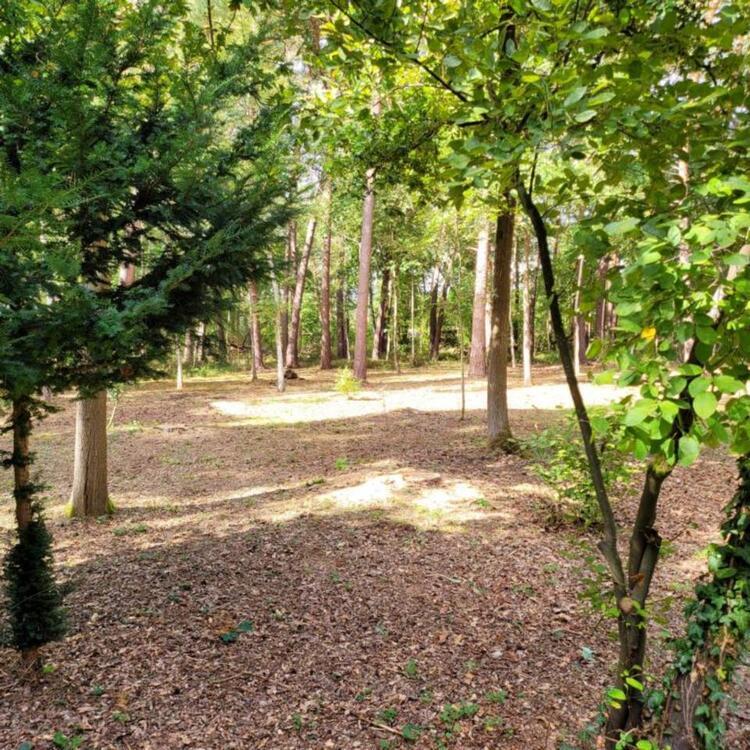 Haus in unmittelbarer Nähe zum Natursee in HannoverGroßburgwedel
