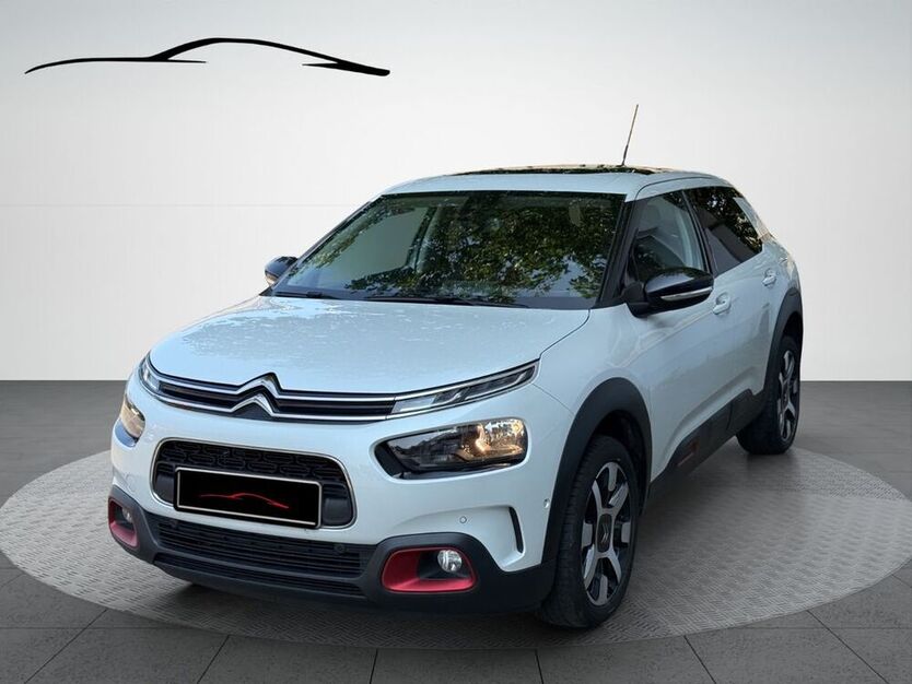 C4 Cactus
