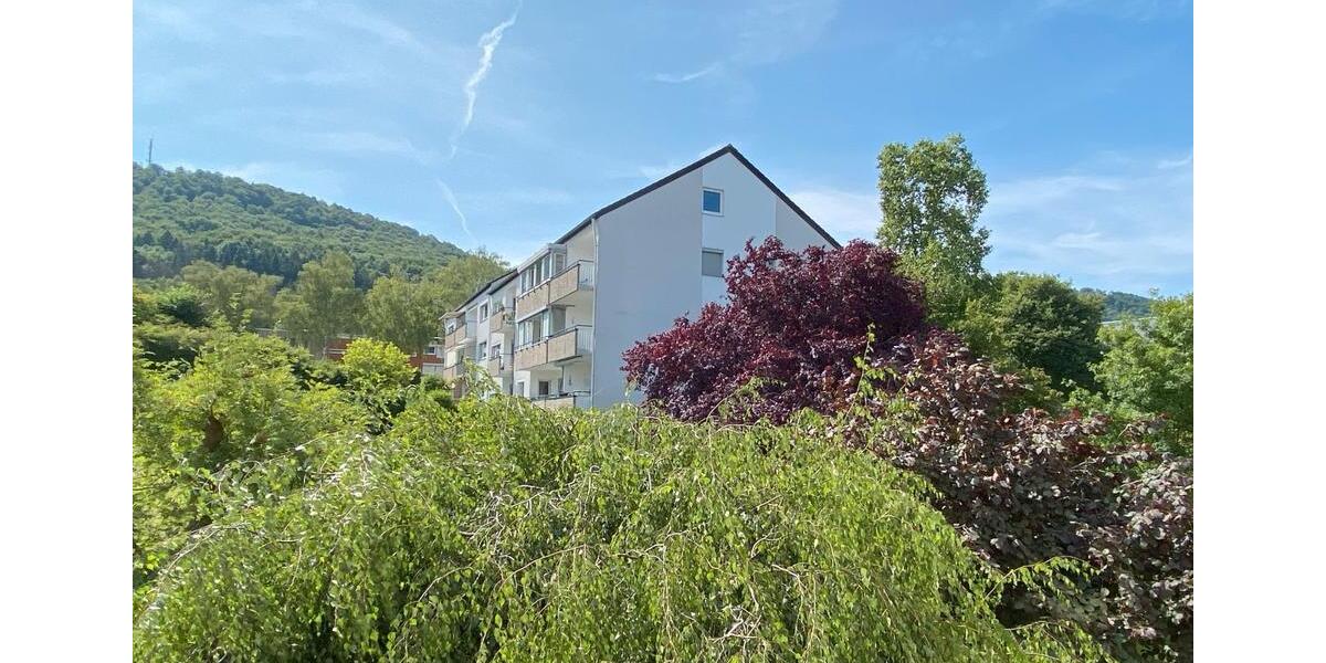 Etagenwohnung Springe - 2 Zimmer, 50 m&sup2;, 580&euro; | Angebot:26394127