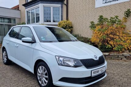 Skoda Fabia 99.677 km 7.499 € Ilsede 31246