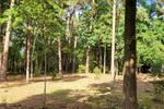 Haus in unmittelbarer Nähe zum Natursee in HannoverGroßburgwedel