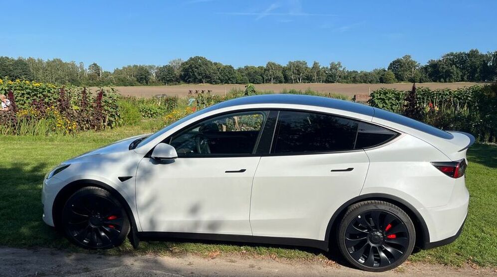 Model Y