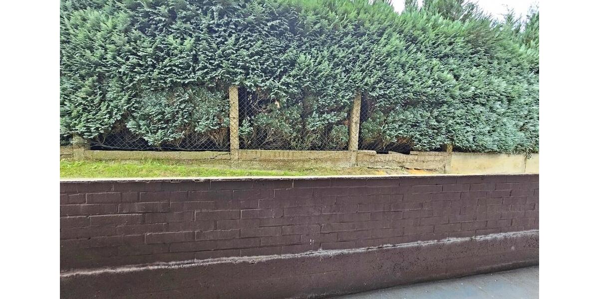 Erdgeschoßwohnung Garbsen Ortschaft Horst - 1 Zimmer, 38 m&sup2;, 450&euro; | Angebot:24703311