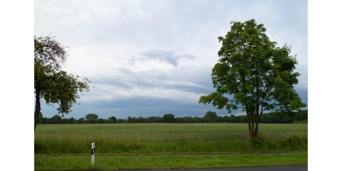 Doppelhaushälfte Hannover Bothfeld-Vahrenheide - 4 Zimmer, 130 m&sup2;, 619.000&euro; | Angebot:25853630