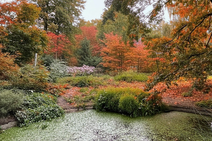 Grundstück Hannover Isernhagen-Süd - 880.000&euro; | Angebot:25685274