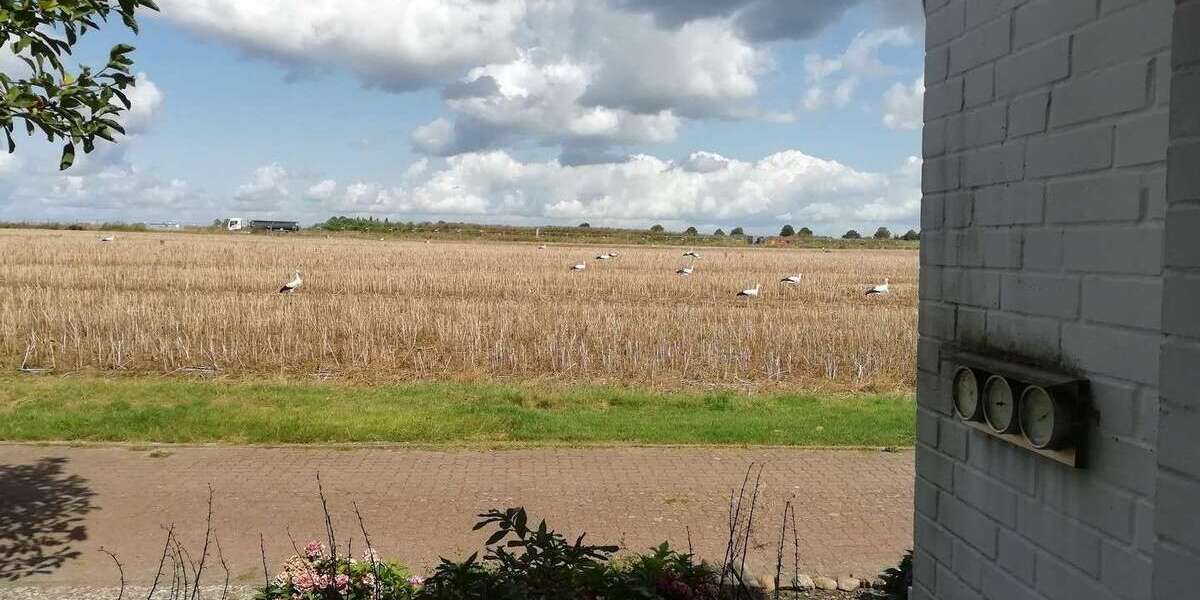 Einfamilienhaus Wunstorf - 4 Zimmer, 117 m&sup2;, 419.000&euro; | Angebot:25274050