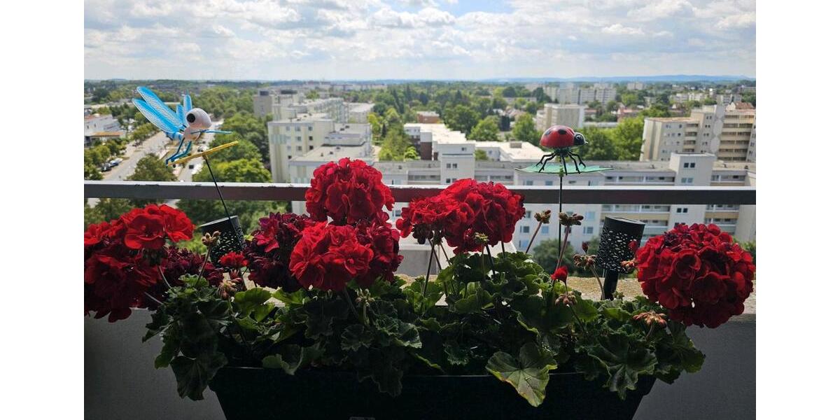 Etagenwohnung Laatzen - 2 Zimmer, 60 m&sup2;, 850&euro; | Angebot:26338146