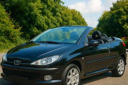 Peugeot 206 22.000 km 1.100 € Uetze 31311