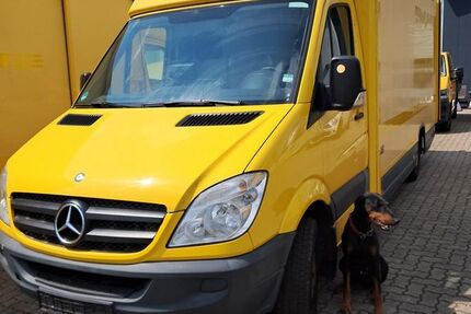 Mercedes-Benz Sprinter 100.000 km 10.899 &euro; Springe 31832