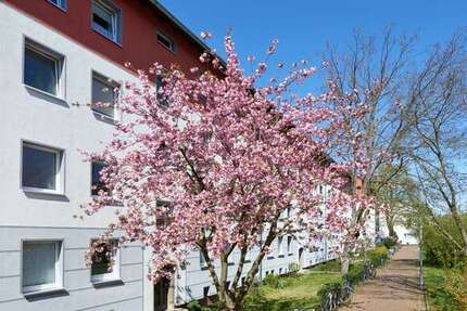 Wohnung Hannover Buchholz-Kleefeld - 1 Zimmer, 34 m&sup2;, 320&euro; | Angebot:25334414