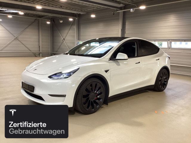 Model Y