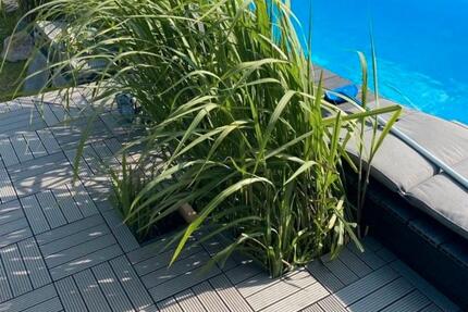 Haus Wedemark - 6 Zimmer, 167 m&sup2;, 630.000&euro; | Angebot:25394563