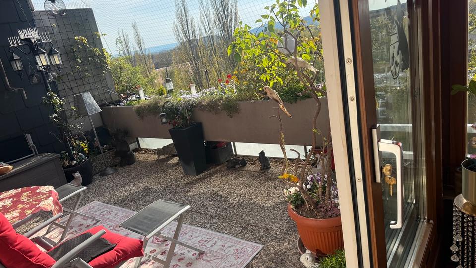 Etagenwohnung Hannover Ahlem-Badenstedt-Davenstedt - 3 Zimmer, 125 m&sup2;, 325.000&euro; | Angebot:26205544