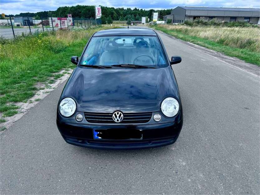 Lupo