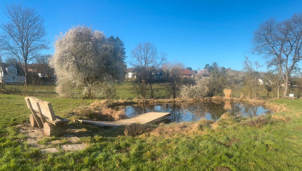 Einfamilienhaus Bad Münder am Deister - 14 Zimmer, 342 m&sup2;, 555.000&euro; | Angebot:26688076