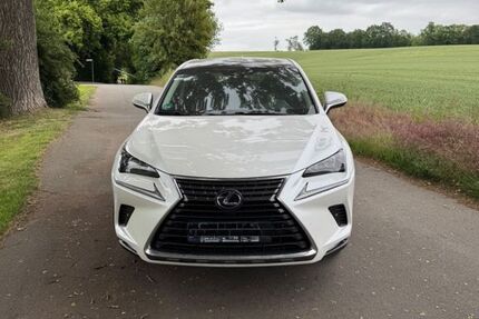 Lexus NX 300 97.000 km 21.900 &euro; Sarstedt 31157