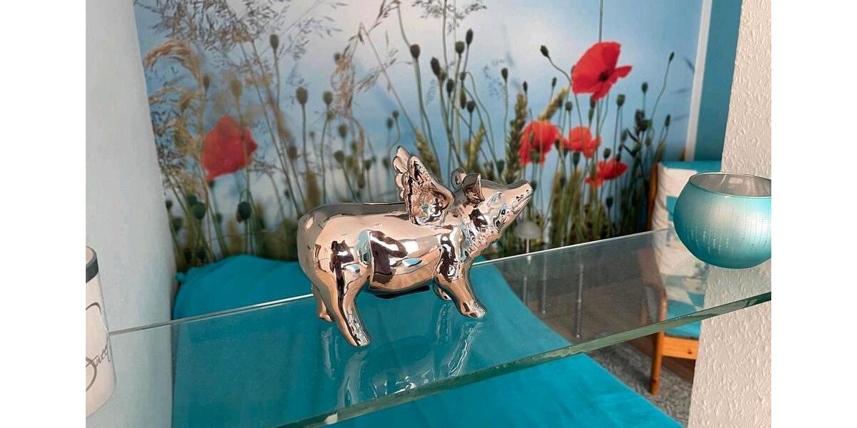 Etagenwohnung Hannover Bothfeld-Vahrenheide - 1.5 Zimmer, 45 m&sup2;, 850&euro; | Angebot:25637491