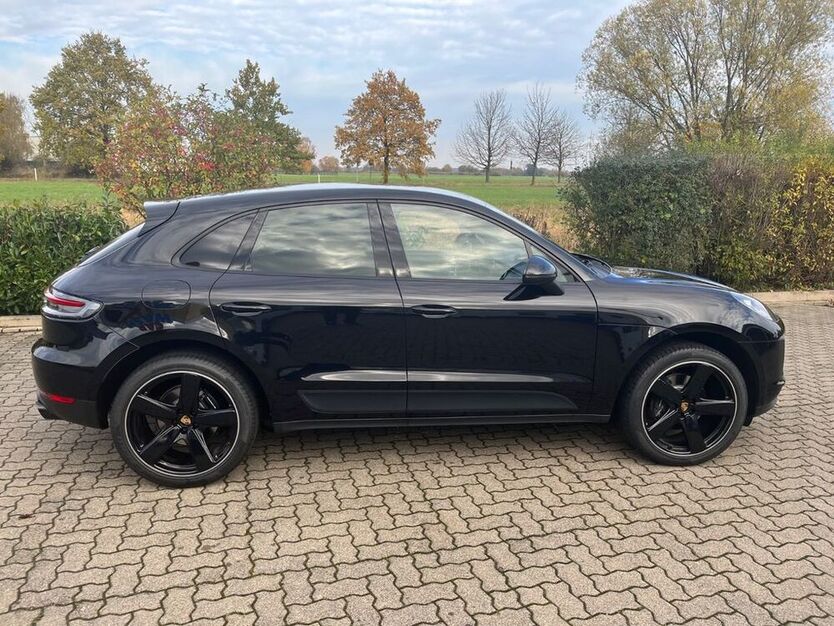 Macan