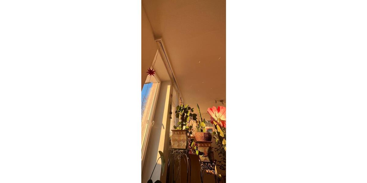 Etagenwohnung Hannover Vahrenwald-List - 1 Zimmer, 32 m&sup2;, 580&euro; | Angebot:26632671