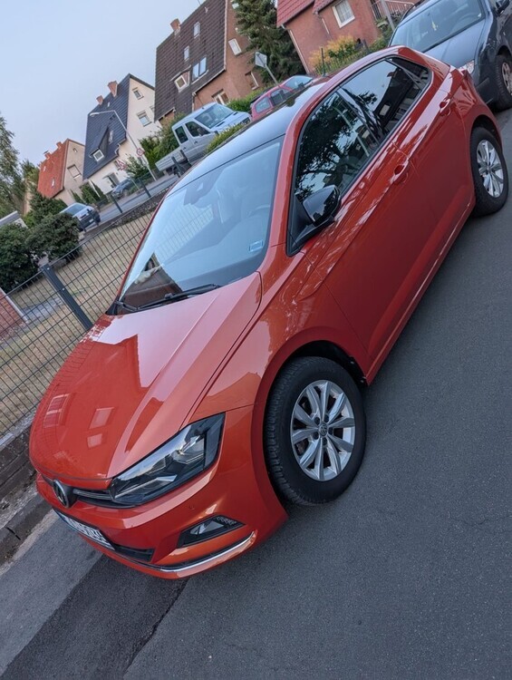 Polo