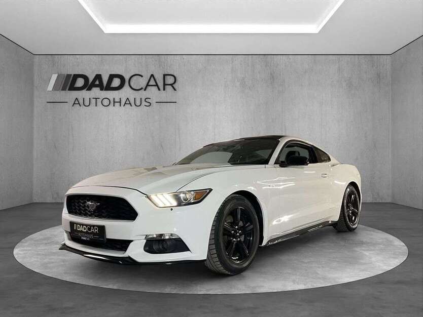 Mustang