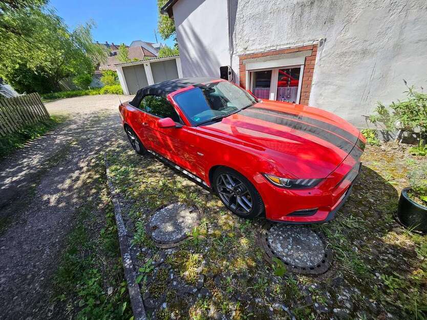 Mustang
