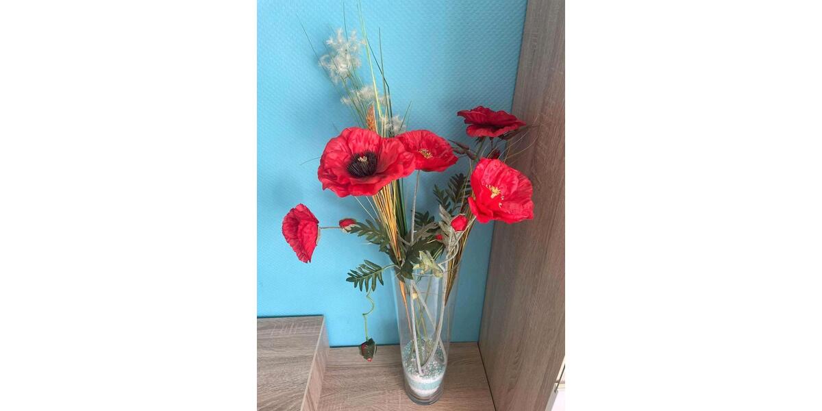 Etagenwohnung Hannover Bothfeld-Vahrenheide - 1.5 Zimmer, 45 m&sup2;, 850&euro; | Angebot:25637491