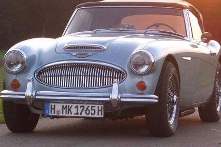 Austin Healey Andere