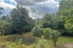 Schönes Einfamilienhaus Ortsmitte Wedemark Bissendorf