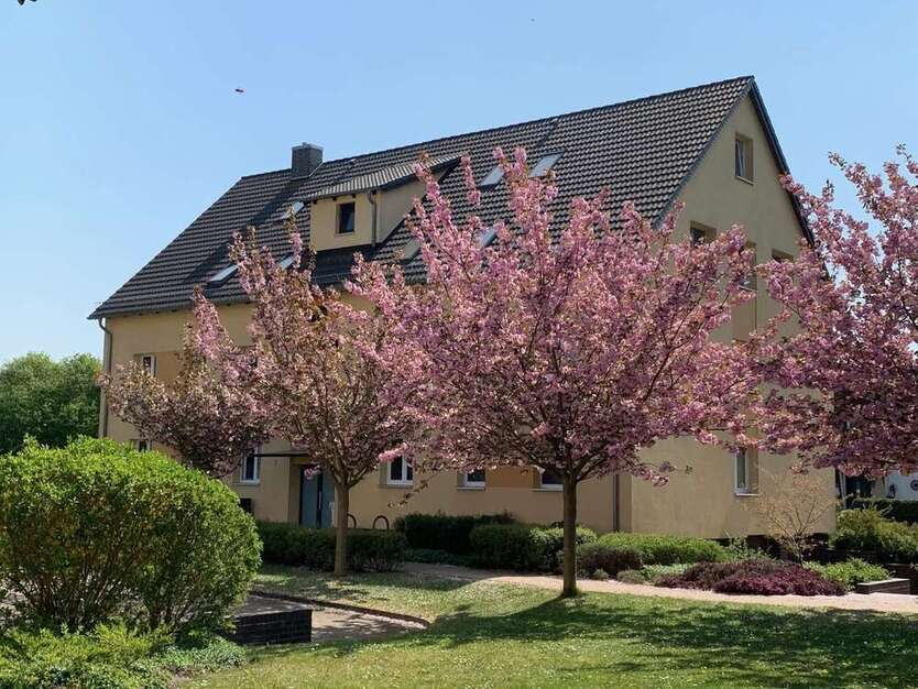 Wohnung zum Mieten in Lehrte 412 € 36 m²