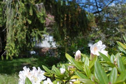 grün ruhig zentral Baugrundstück EFH Haus Hannover Bothfeld Lahe zimmer