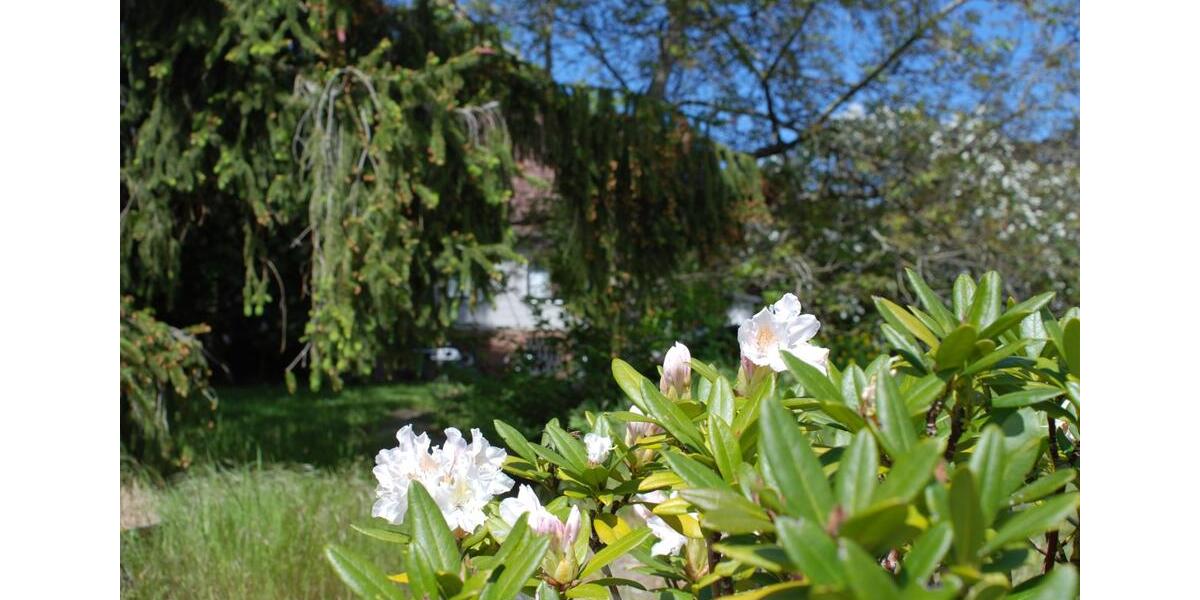 grün ruhig zentral Baugrundstück EFH Haus Hannover Bothfeld Lahe zimmer