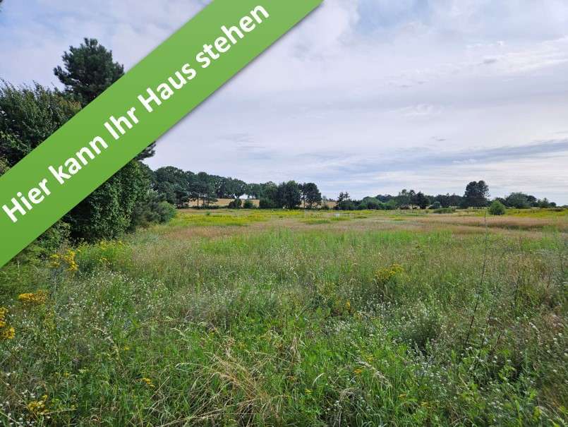 Haus zum Kaufen in Wettmar 411.290 € 130 m² 6 zimmer