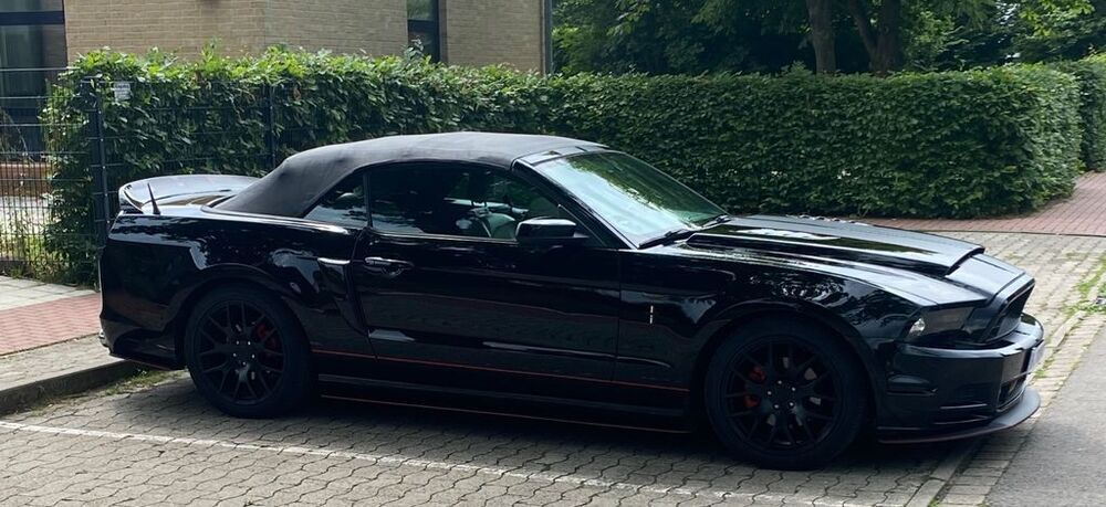 Mustang