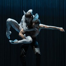 Schwanensee. Rotbarts Geschichte 28.02.2026 Staatsoper Hannover