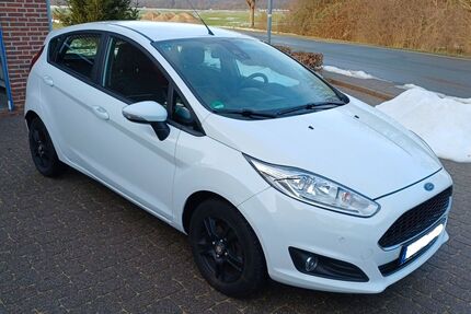 Ford Fiesta 68.000 km 7.650 &euro; Springe 31832