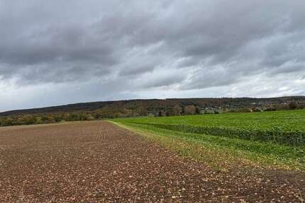 Grundstück Springe-Alvesrode Alvesrode - 119.000&euro; | Angebot:23623738
