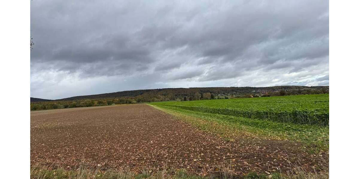 Grundstück zu verkaufen in Springe-Alvesrode 159.000 € 1030 m² zimmer