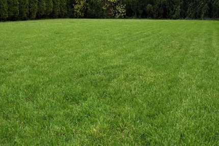 Garagen / Stellplätze Langenhagen Brink - 25&euro; | Angebot:24391859