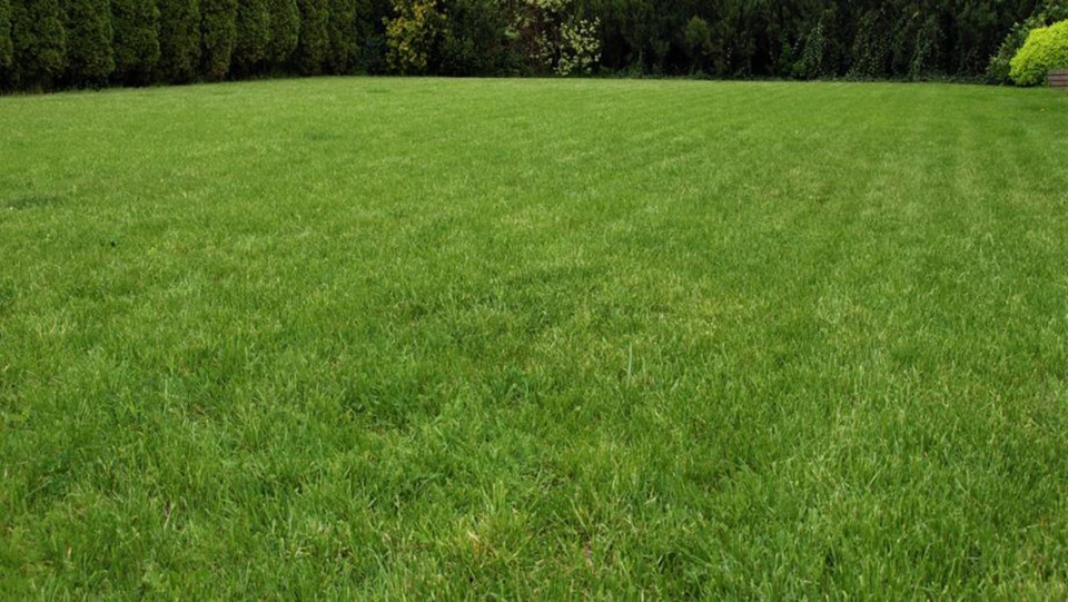 Garagen / Stellplätze Langenhagen Brink - 25&euro; | Angebot:24391859