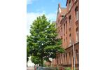 Etagenwohnung Hannover Herrenhausen-Stöcken - 3 Zimmer, 60 m&sup2;, 630&euro; | Angebot:26566001