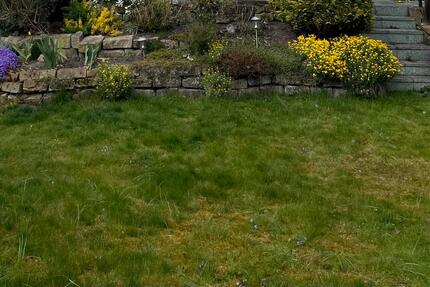 Haus Neustadt am Rübenberge - 4 Zimmer, 112 m&sup2;, 330.000&euro; | Angebot:26227417